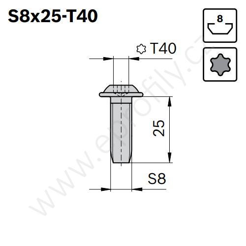 Centrální šroub samotvarovací, ESD, 3842527174, S8x25-T40, Balení (100ks)