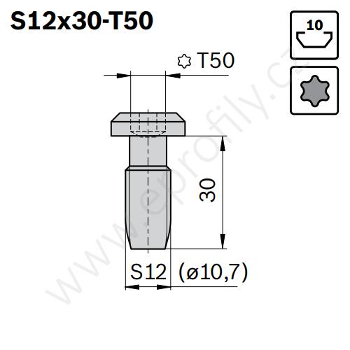 Centrální šroub samotvarovací, ESD, 3842530236, S12x30-T50, Balení (100ks)