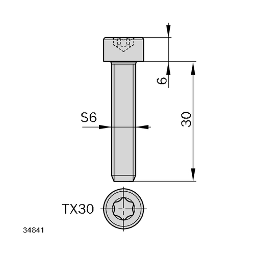 Šroub M6 EcoSafe, ESD, 3842567978, S6x30, (1ks)